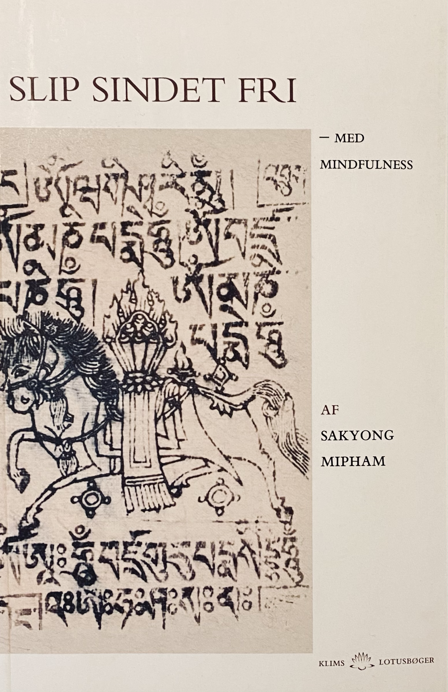 Slip sindet fri - med mindfulness