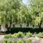 Vaekstcenteret_gaardsplads_sommer-1536x913