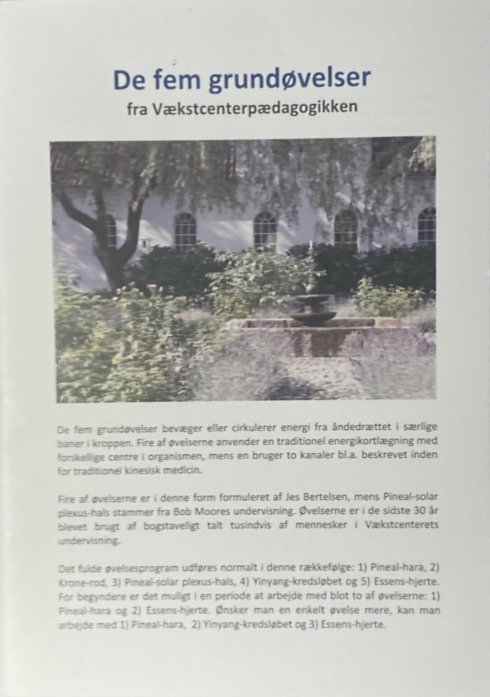 De fem grundøvelser - fra Vækstcenterpædagogikken
